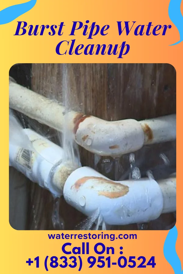 Burst Pipe Water Cleanup in Franklin, MN