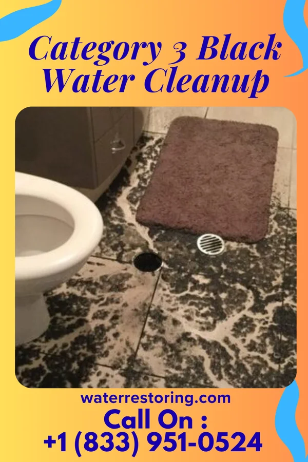 Category 3 Black Water Cleanup in Franklin, MN