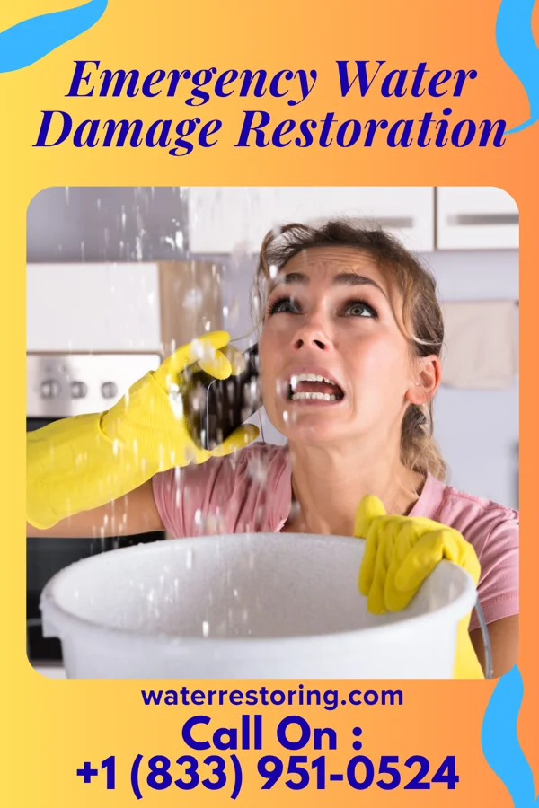 Emergency Water Damage Restoration in Franklin, MN