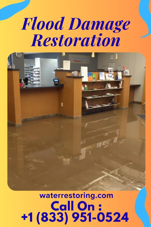 Flood Damage Restoration in Franklin, MN