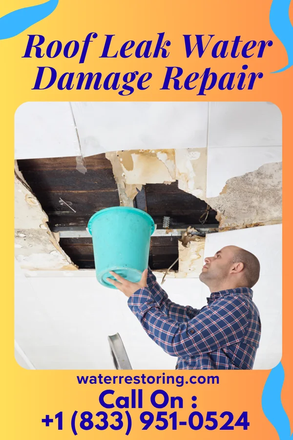 Roof Leak Water Damage Repair in Franklin, MN