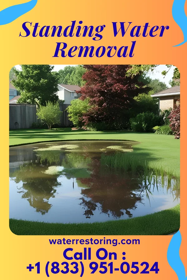 Standing Water Removal in Franklin, MN